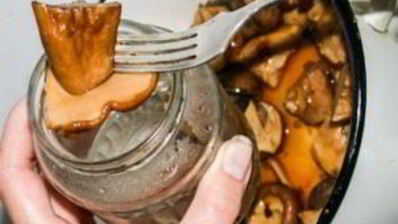 маринованные белые грибы с корицей