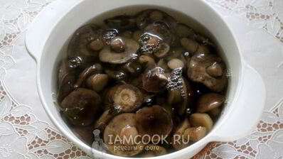 маринованные подберезовики