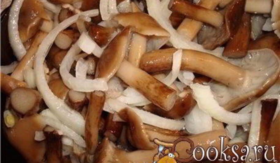 Рецепт опят маринованных с лукома ны зиму