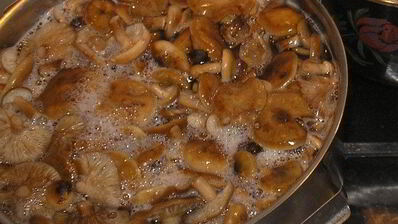 опята маринованные с луком на зиму