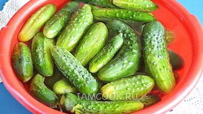 огурцы на зиму в литровых банках