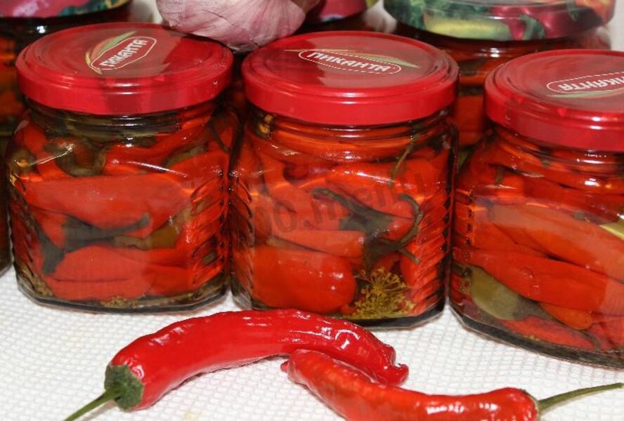 Перец чили на зиму