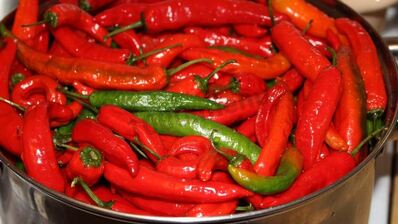 перец чили на зиму