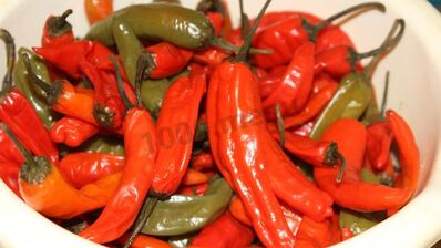 перец чили на зиму
