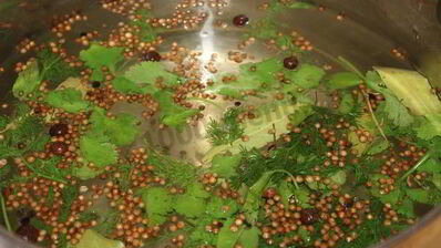 перец чили на зиму