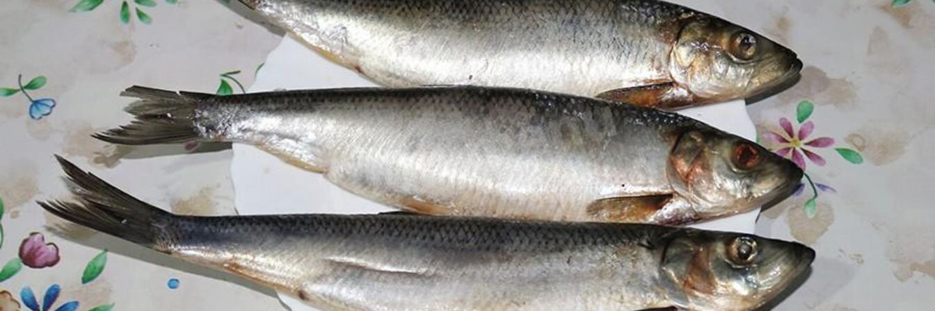 Домашняя соленая селедка