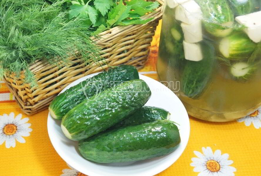 Хрустящие малосольные огурцы в банке