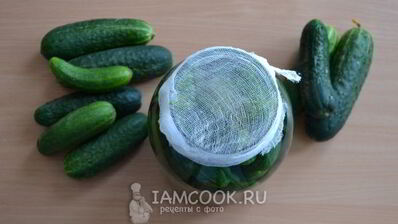 классические малосольные огурцы