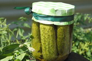 Малосольные огурчики на зиму