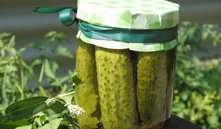 Рецепт малосольных огурчиков на зиму