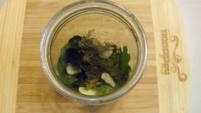 малосольные огурчики на зиму