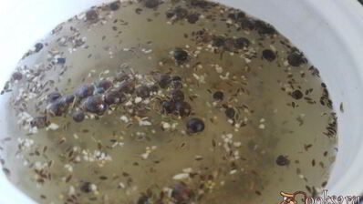 малосольные огурцы с молодой капустой