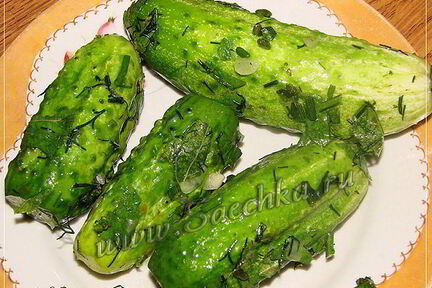 Малосольные огурцы в пакете