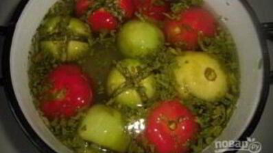 малосольные помидоры по-армянски с чесноком