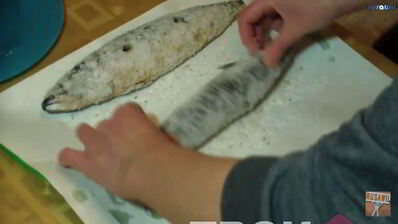 скумбрия малосольная