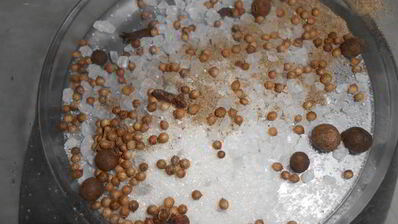 соленая мойва по-домашнему