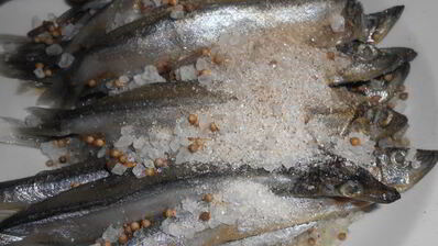 соленая мойва по-домашнему