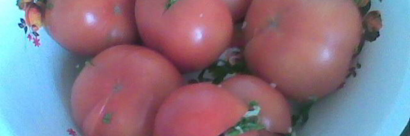 Соленые бурые помидоры
