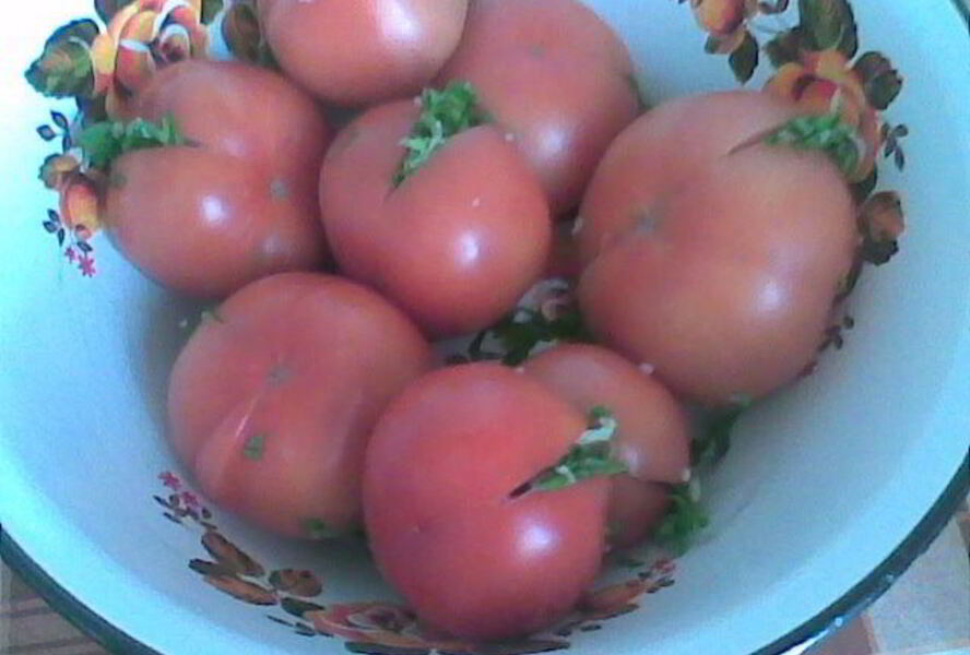 Соленые бурые помидоры