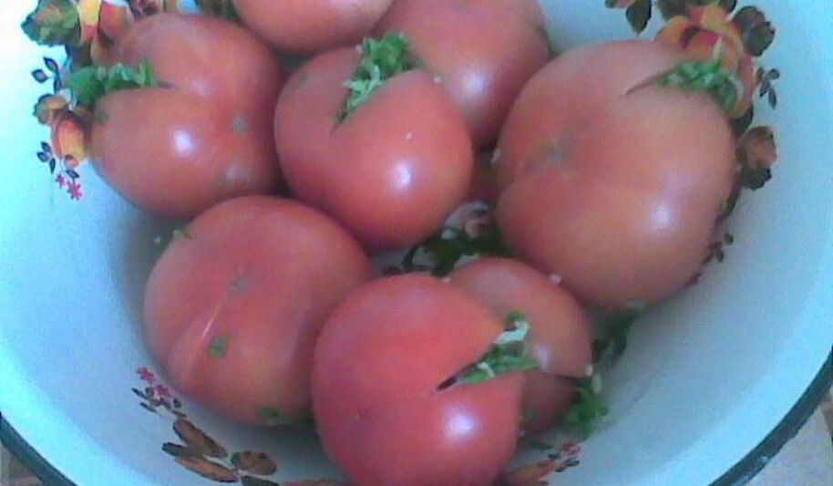 Рецепт соленых бурых помидоров