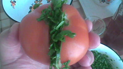 соленые бурые помидоры