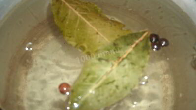 суточная капуста с чесноком