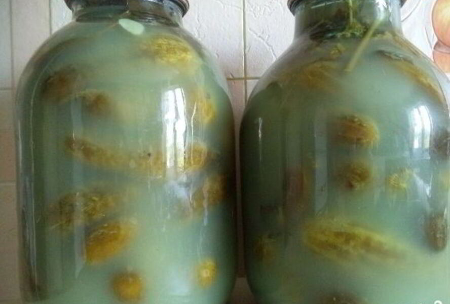 Соленые огурцы без уксуса на зиму