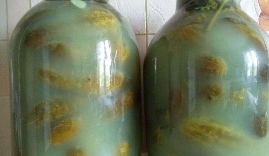 Рецепт соленых огурцов без уксуса на зиму