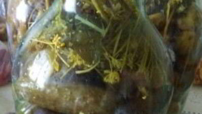 соленые огурцы без уксуса на зиму