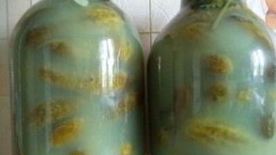 соленые огурцы без уксуса на зиму