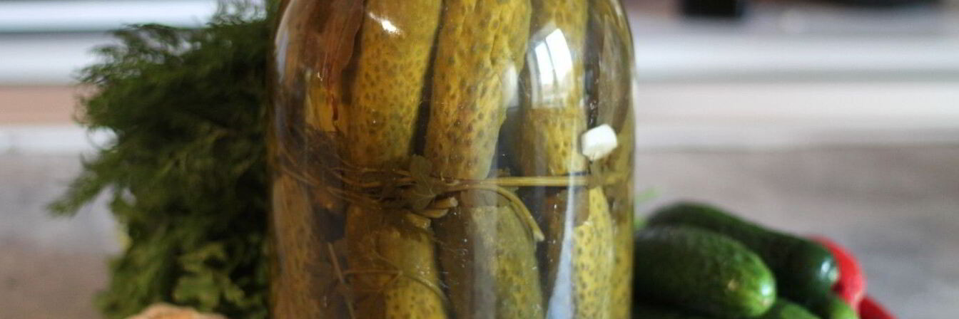 Соленые огурцы в банке на зиму