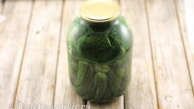 соленые огурцы в банке на зиму