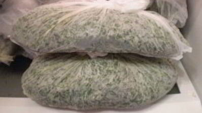 укроп на зиму