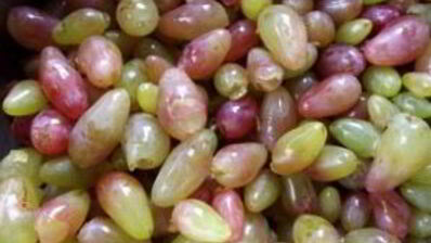 варенье из винограда с косточками