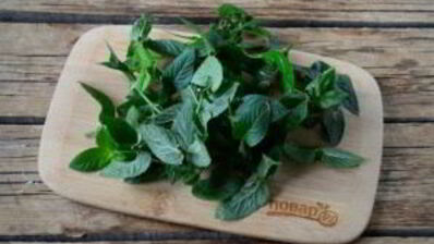 заготовка мяты на зиму