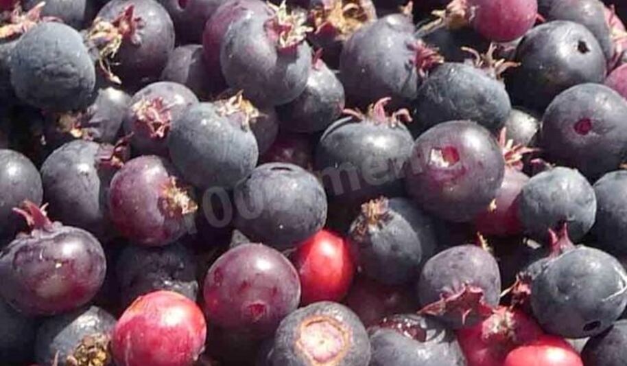 Рецепт заготовок ирга на зиму