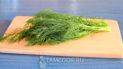 засолка укропа на зиму