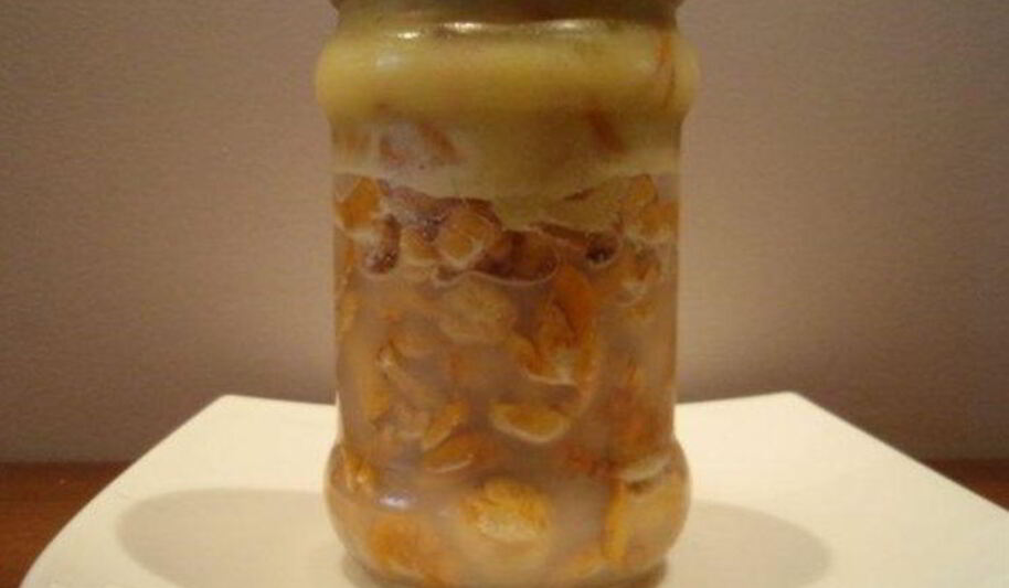 Рецепт жареных лисичек на зиму