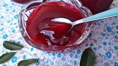 желе из вишни на зиму