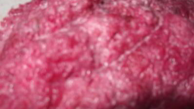 бутерброды закусочные с сельдью