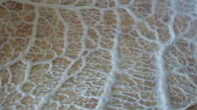 домашняя колбаса в свиной сетке