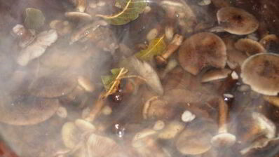 консервированная грибная икра