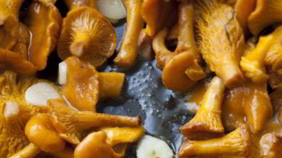 фриттата с лисичками