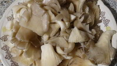 паштет из чечевицы с грибами