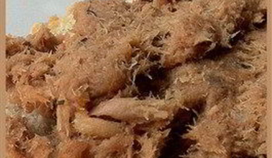 Рецепт паштета из консервированной рыбы