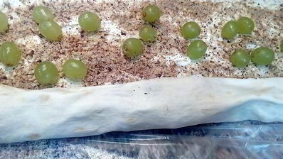 роллы из лаваша