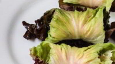 овощные рулетики