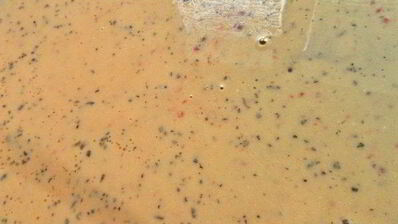 яичный рулет с печенкой