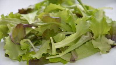 сэндвич с яйцом-пашот и салатом