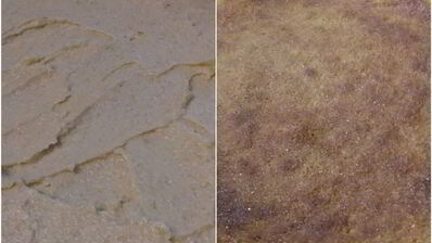 абрикосовый тарт с франжипаном и миндальным крокантом